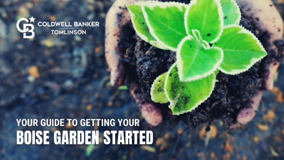 Boise Garden Tips